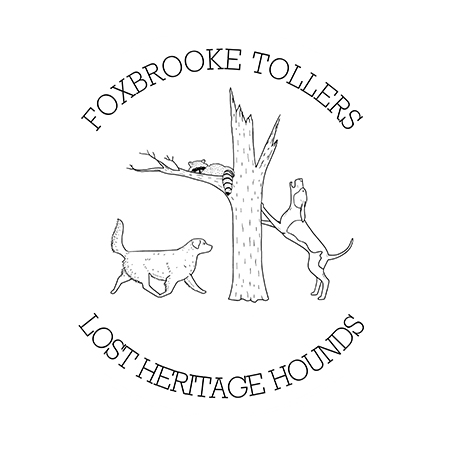FoxBrooke Tollers and Lost Heritage Hounds Logo