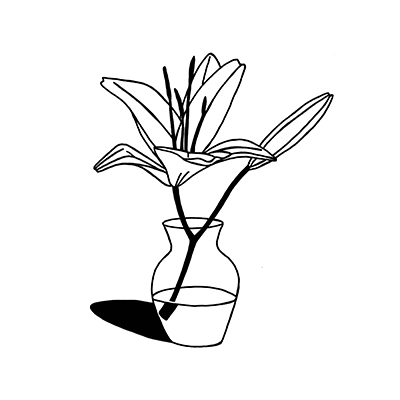 Drawing of a lily